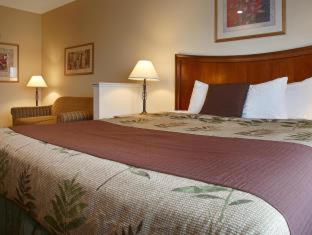 Best Western I-5 Inn & Suites Lodi Oda fotoğraf